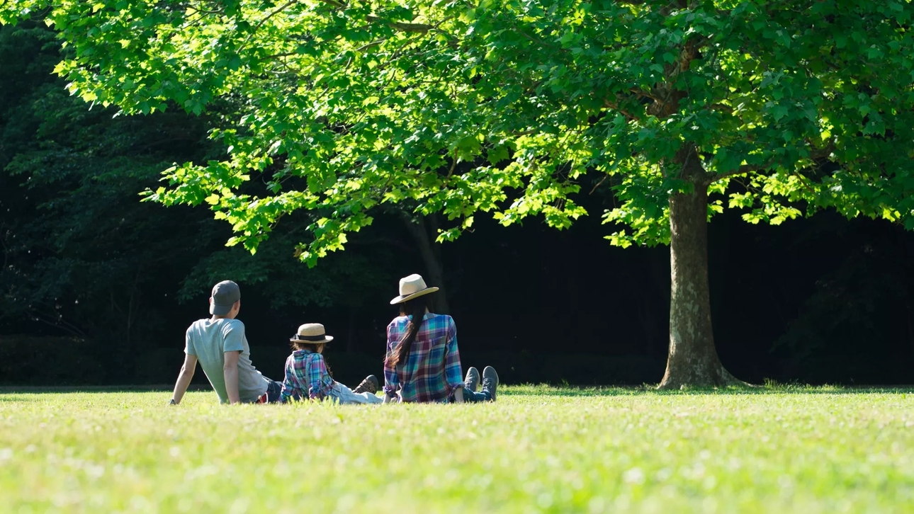 Family sitting under a tree in a bright, lush grass field.