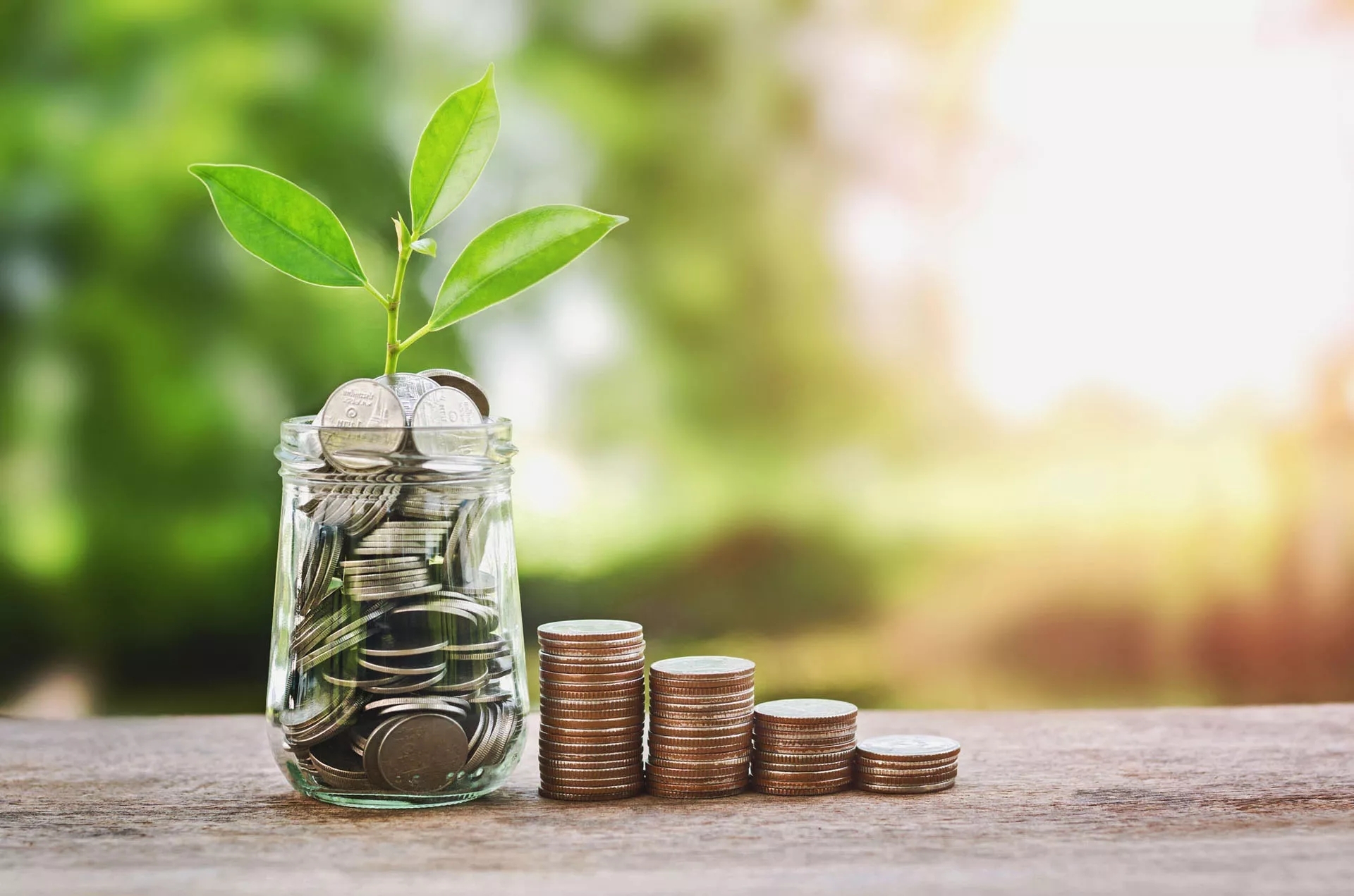 A jar of coins with a descending stack of copper coins next to it on a table in nature somewhere. There is a small plant growing out of the jar of coins.