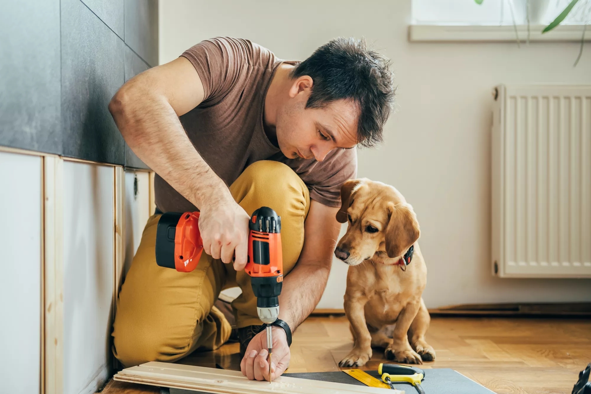 An adorable puppy looking curiously to a man crouching down operating a power drill into the floor.