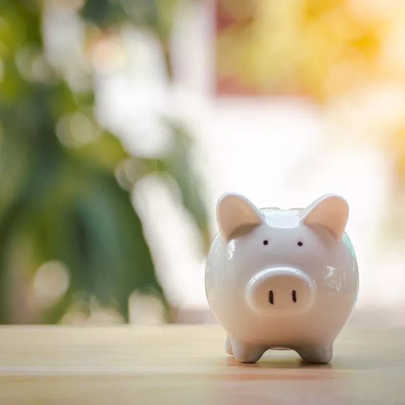 A piggy bank sitting on a table. A tree and wall are illuminated in the background.